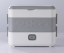 Electric lunch box